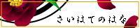 낵΁Acc